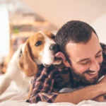 How owning a dog could improve your health