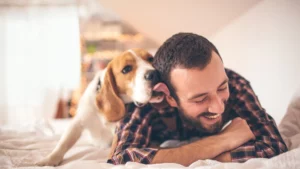 How owning a dog could improve your health